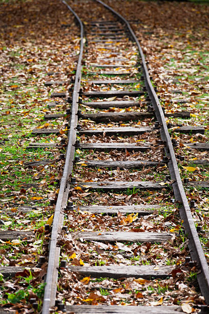 istock Selective focus on railroad tracks in an autumn landscape. 2225385612