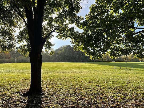istock Dawn in the Park 2225392745