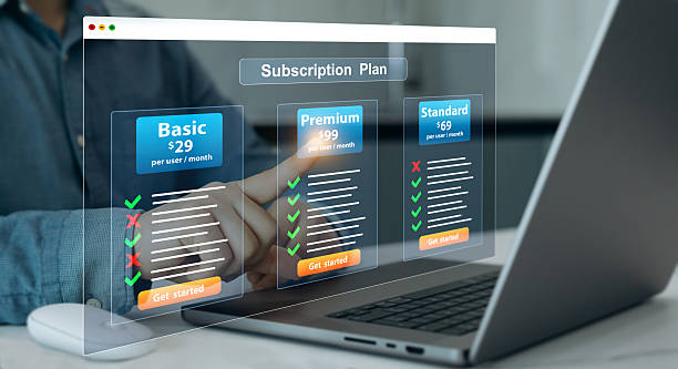 istock Subscription plan pricing for education and business.Subscription plan offers exclusive access to premium content, special discounts, and priority support.Paid online service subscription plan. 2225412039