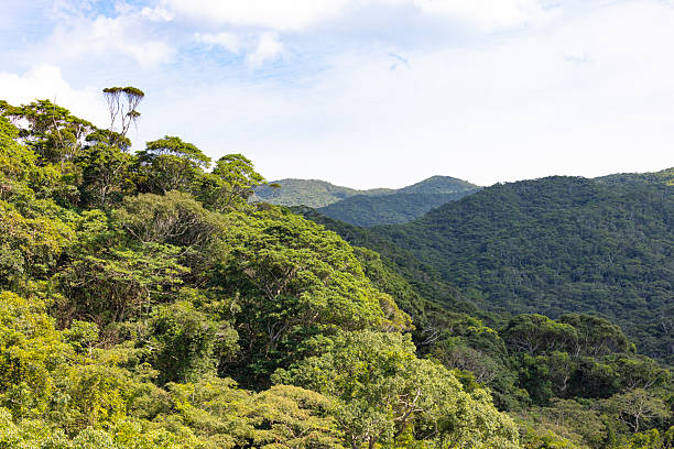 yanbaru-national park, okinawa, japan