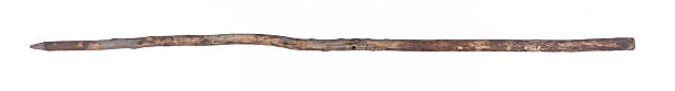 istock old dry long stick isolated on white background 2225420183