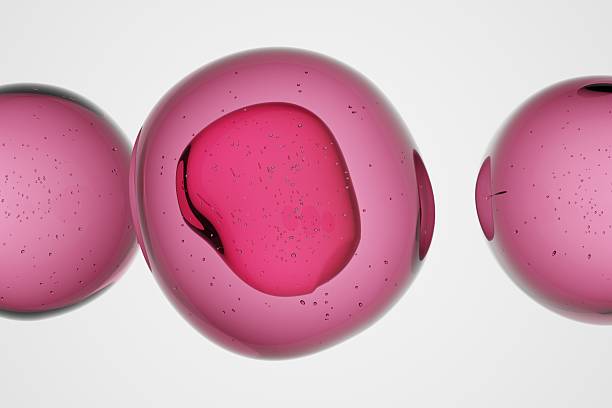 istock Cluster of pink translucent spheres with visible inner core, isolated on soft background, abstract 3D molecular design for cosmetic, biology, chemistry, healthcare or futuristic scientific concepts 2225420534