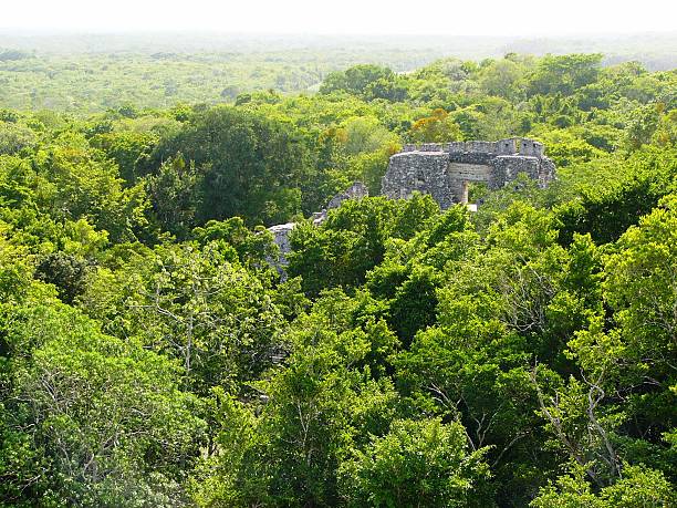 istock Yaxchilan ruins, Chiapas Mexico 2225421146