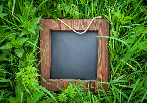 istock Rustic wooden empty chalkboard lies among green grass 2225422334