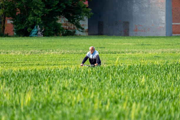 Elderly man walks through fields of green crops, Gallegos de Ornija , Valladolid - Spain