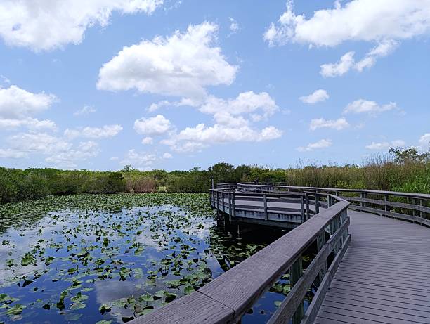 istock Trail over Everglades National Park, Miami, Florida 2225427752