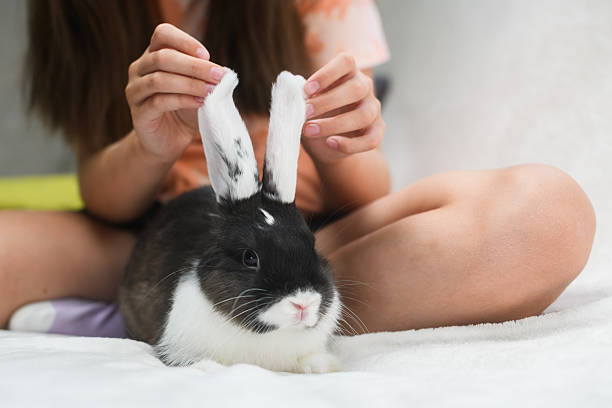 istock Girl playing with rabbit ears while sitting on bed. 2225428402