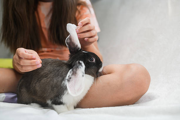 istock Girl playing with rabbit ears while sitting on bed. 2225428413