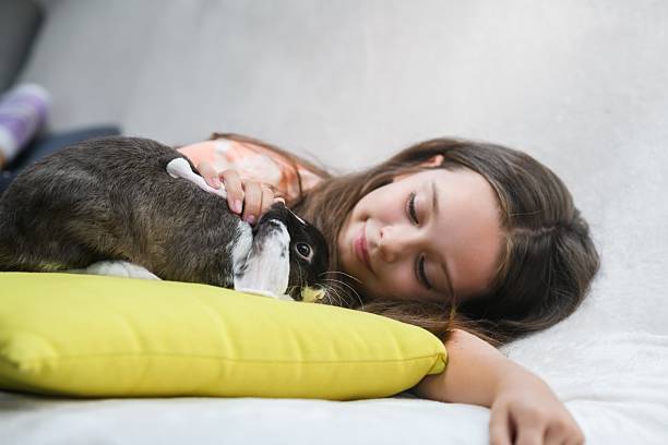 istock Girl lying on sofa and hugging rabbit on pillow. 2225428428