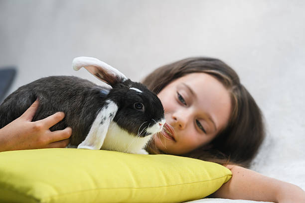 istock Girl lying on sofa and hugging rabbit on pillow. 2225428535