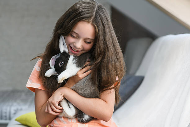 Young girl sitting on a sofa and gently hugging a black and white rabbit close to her chest. Cozy home interior with soft natural light from skylight.