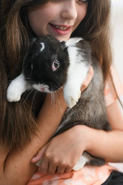 istock Smiling girl hugging black and white rabbit indoors. 2225429286