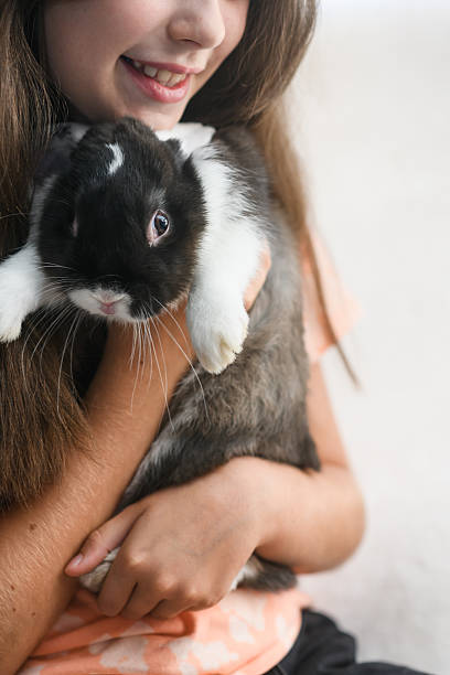 istock Smiling girl hugging black and white rabbit indoors. 2225429291