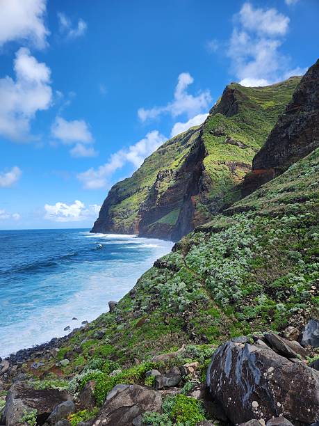 istock Lush Cliffside and Whitecap Ocean – Madeira 2225429743