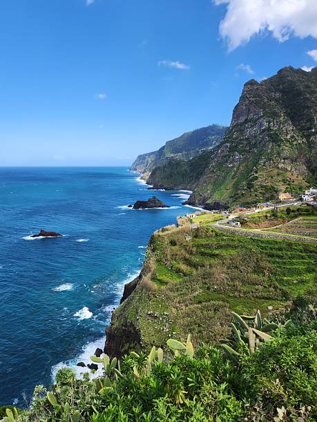 istock Terraced Hillside and Rocky Mountains by Ocean – Madeira 2225429772