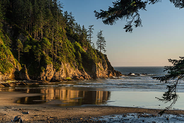 istock Short Sand Beach on Oregon Coast 2225431010