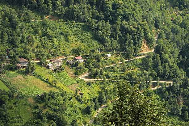 istock Green mountains in the sunlight, in warm light. 2225433892