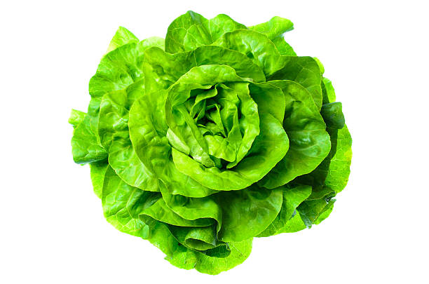 istock Fresh green lettuce head top view on clean white background with shadow 2225434518