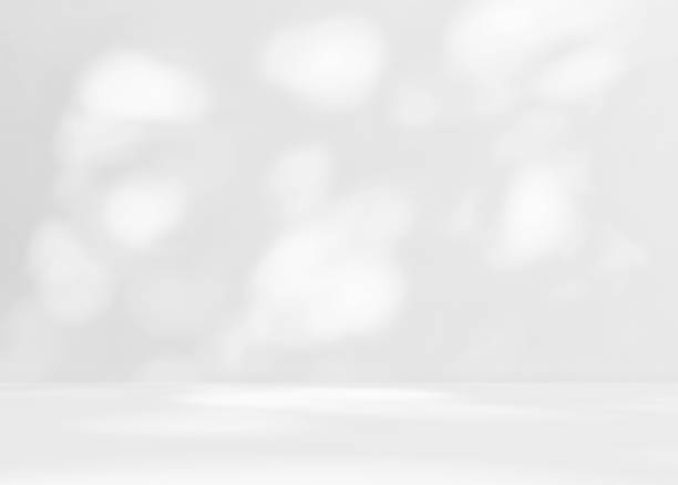 istock Empty white gray room studio with leaves shadow overlay effect for product presentation display. 2225435036