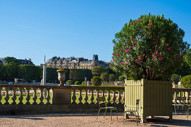 Architecture of buildings in the city of Paris in France, seen from the Luxembourg Gardens