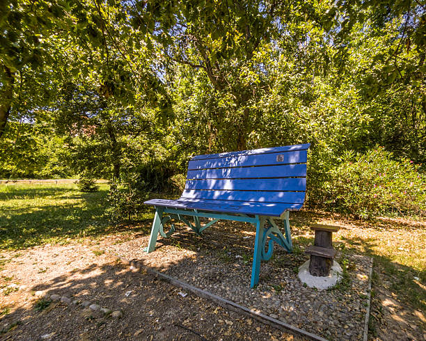 istock Big blue bench in woodland oasis 2225441143
