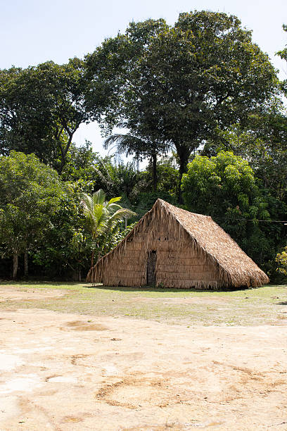 istock front view of an indigenous house in Amazonia 2225441239