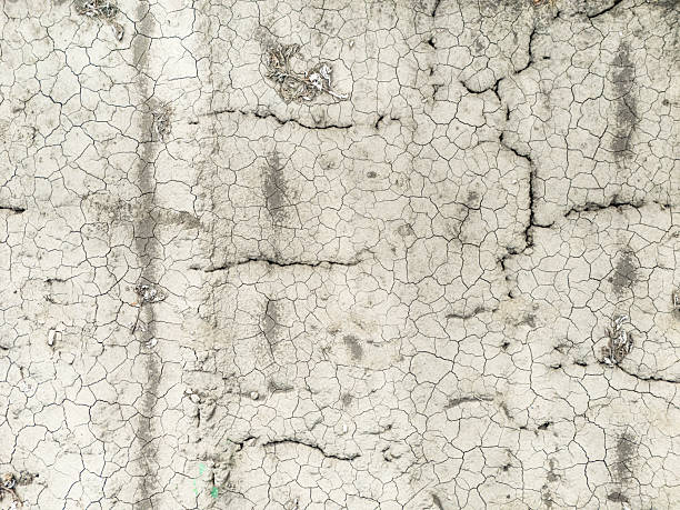 Drought Affected Field, Cracked Dry Soil Without Moisture