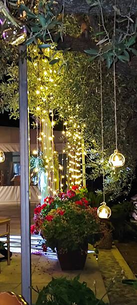 istock Outdoor garden decorated with lights at night. 2225441855