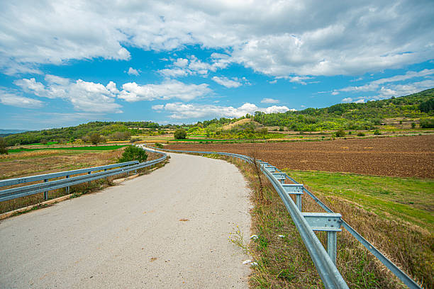 A dirt path winds through a grassy field lined with scattered trees, leading toward a dense green forest at the base of a tree-covered hill under a partly cloudy sky.