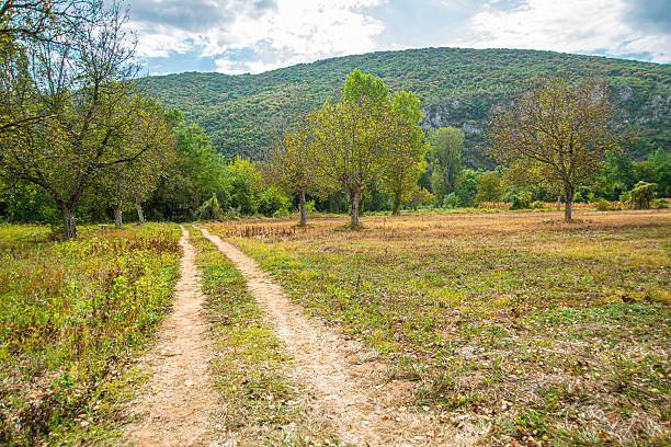 A dirt path winds through a grassy field lined with scattered trees, leading toward a dense green forest at the base of a tree-covered hill under a partly cloudy sky.