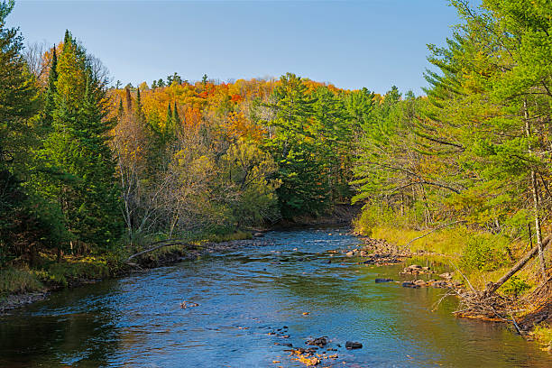 istock Fall Colors Erupting Over the Bad River 2225446937