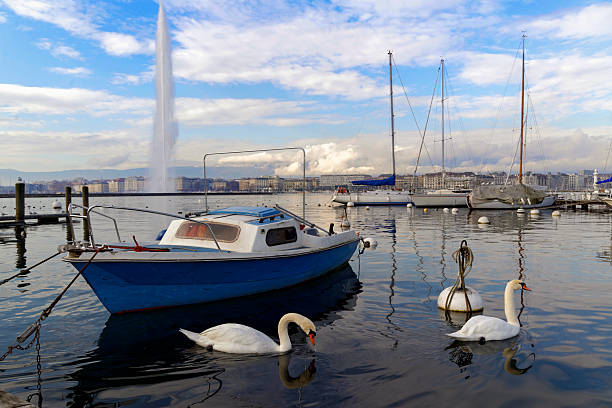 The Jet d'Eau (Water-Jet) is a large fountain in Geneva, Switzerland and is one of the city's most famous landmarks.Five hundred litres of water per second are jetted to an altitude of 140 m by 2 pumps.