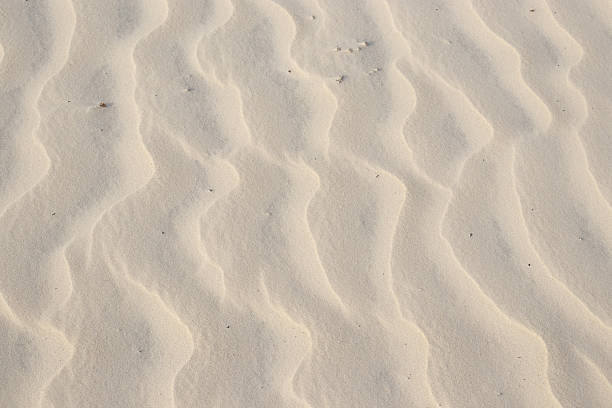 istock natural texture of beige beach sand 2225447539