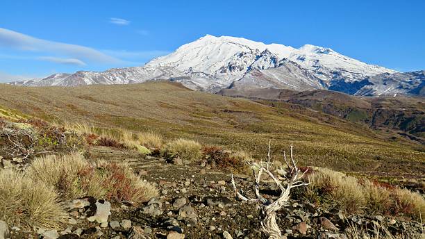 istock Mount Ruapehu, Tama Lake Trail 2225448282