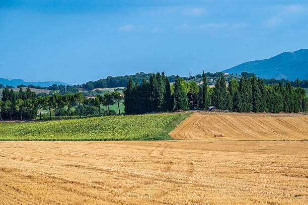 istock Paesaggio in Umbria 2225448826