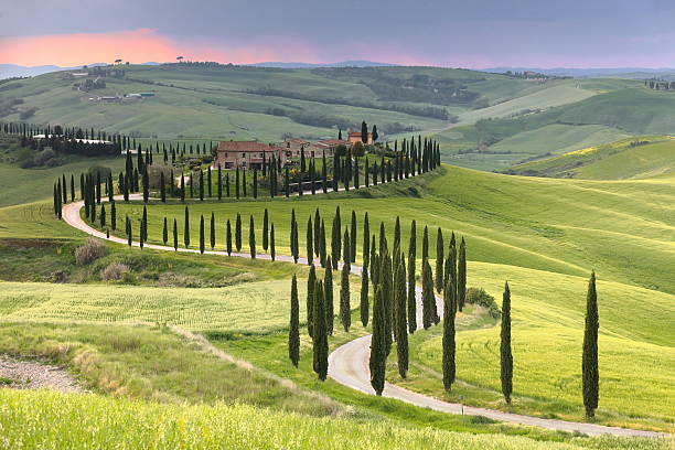 istock Cloudy sunset on the Val d'Asso Valley, its podere -farmsteads- among rolling hills, cypress-lined dirt roads, grain fields. Asciano-Tuscany-Italy-088 2225450829