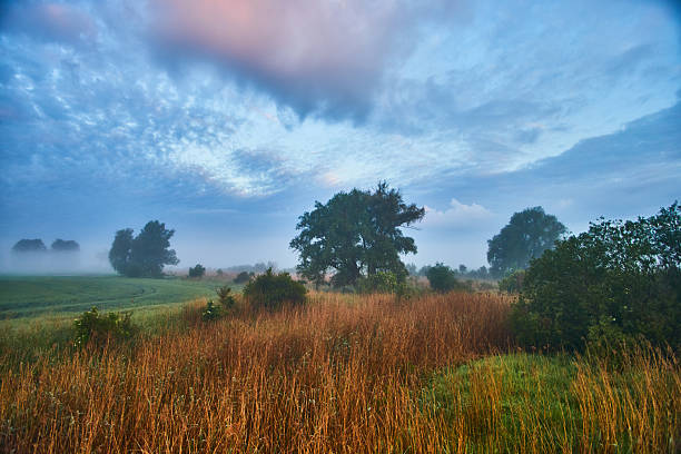 Serene landscape featuring a charming grassy field surrounded by trees under a dramatic cloudy sky. Ideal setting for peaceful nature moments and tranquil ambiance.