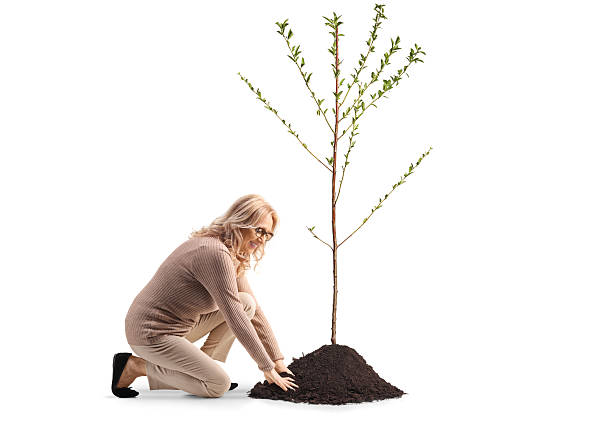 istock Woman kneeling and planting a tree in soil 2225457668