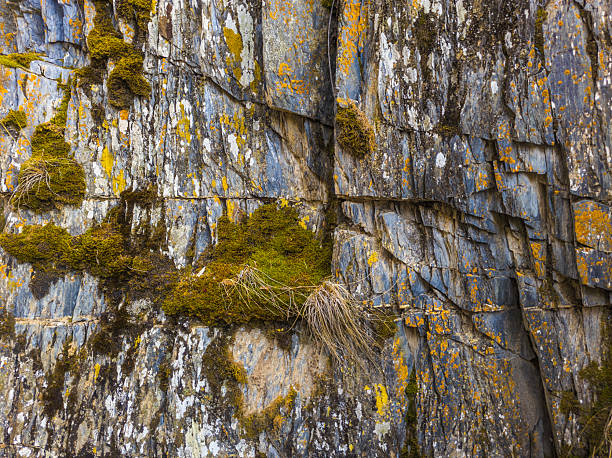 istock Rugged rock covered in vibrant green moss in nature setting 2225458521