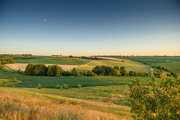 Panoramic view of a peaceful rural landscape during the golden hour. Rolling green hills, cultivated fields, and patches of wild vegetation are bathed in soft sunset light.