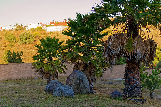 istock Peaceful Green Hillside Trail With Urban Views 2225461970