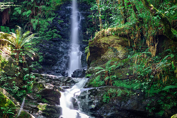 istock Waterfall Sanctuary in Northern Spain 2225462516