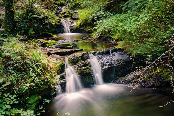 Peaceful hidden waterfall in Cabuerniga Valley, Cantabria, Spain. A serene scene of nature with lush forest, crystal-clear water and cascading stream.
