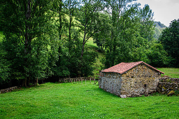 istock Stone Shed in Lush Green Meadow 2225464039