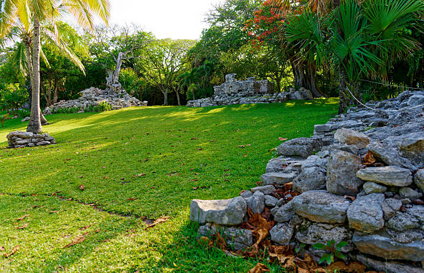 These Weathered Structures, Surrounded By Dense Vegetation And Towering Trees, Evoke The Mystique Of A Lost Civilization Embraced By Nature’s Quiet Resilience.
