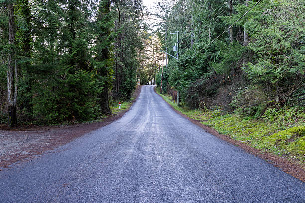 istock Scenic Forest Road on Vancouver Island Traversing Through Lush Greenery 2225468449