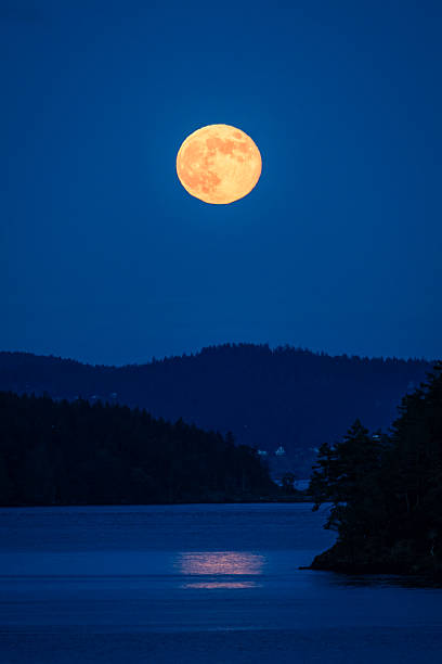 istock Full Moon Over Sidney and Vancouver Island Reflecting in Calm Waters 2225469471