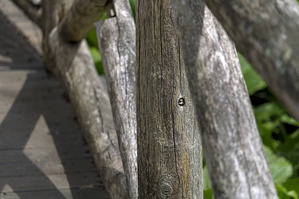 istock Bridge Post Hole In Woodland Environment 2225471045