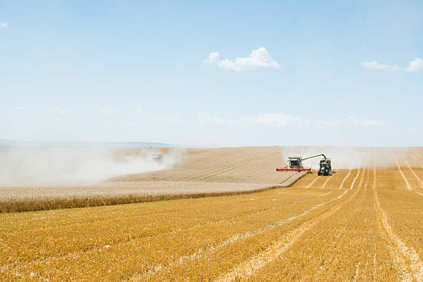 istock Scale of Combine harvesting wheat in agriculture fields. 2225472781