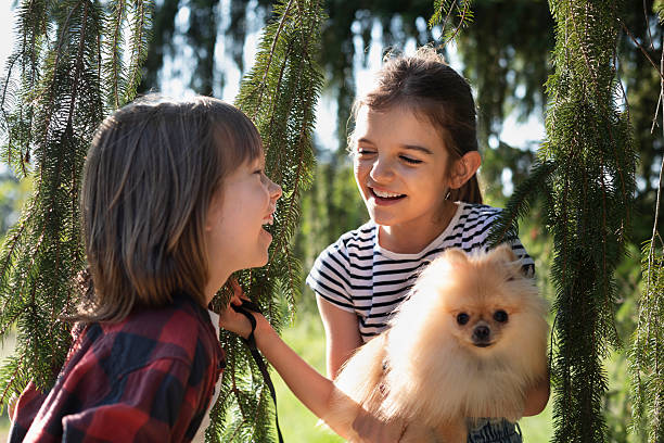 Happy boy and girl playing under coniferous branches while the girl holding a Pomeranian puppy.